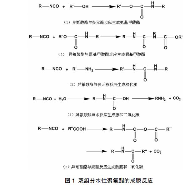 1574488189179827.jpg 1.jpg